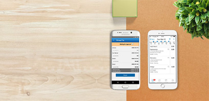 Replicon Mobile Datasheet