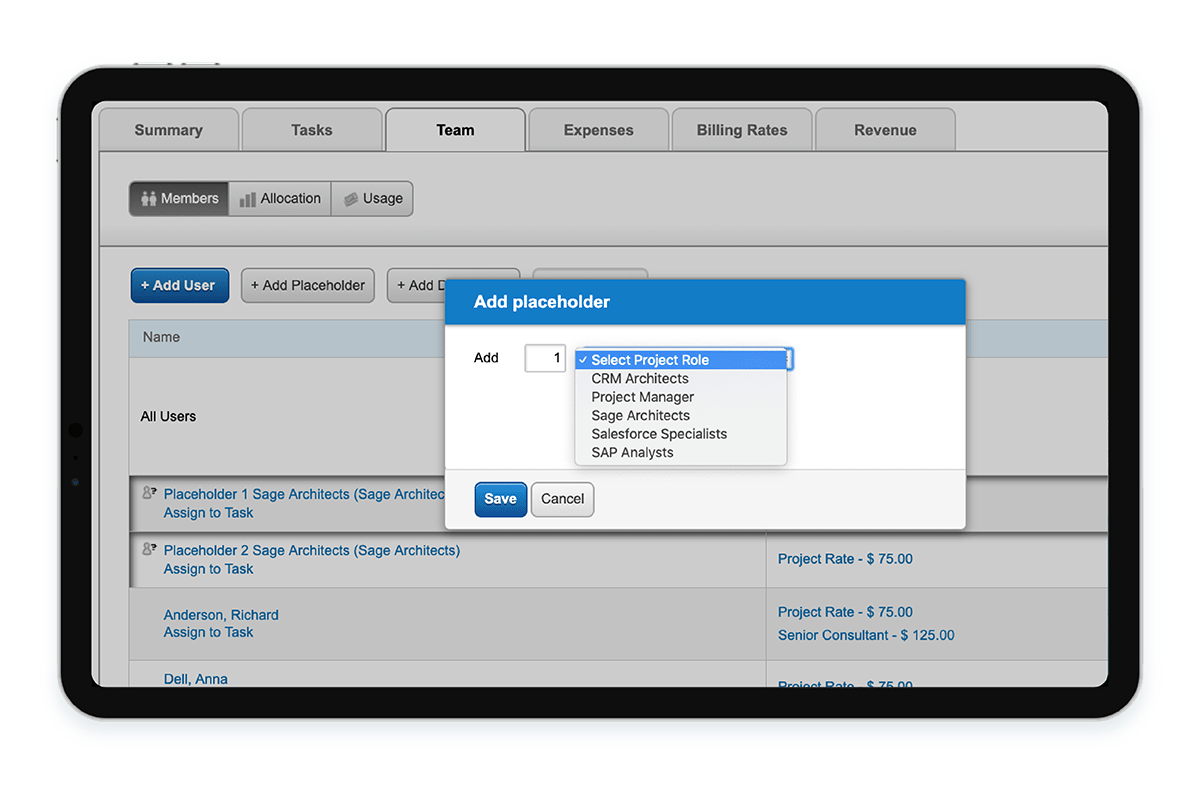 Project Timesheets