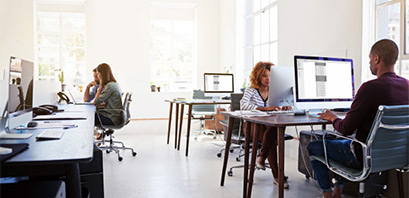 employees working on their laptops in the office