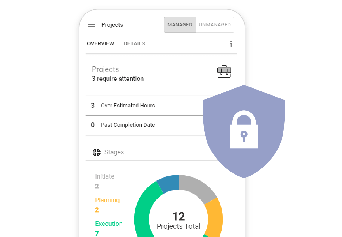 secure project management services