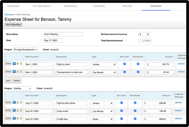project expense tracking