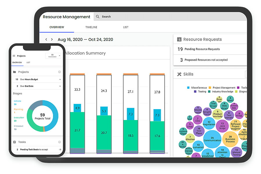 ms project management