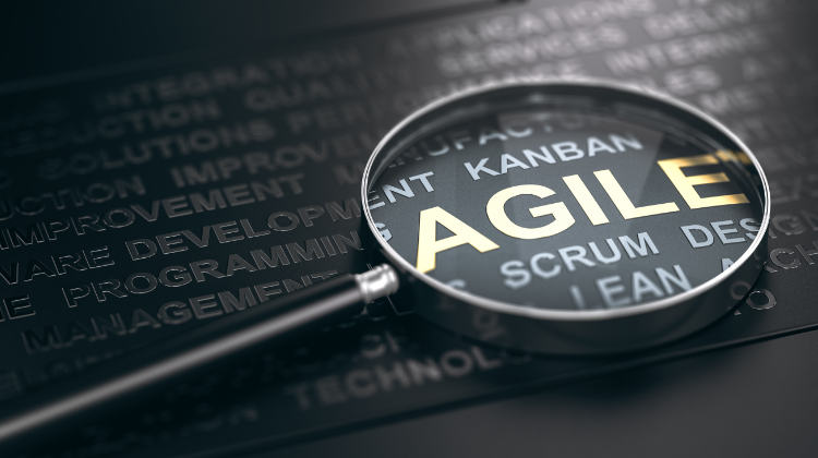 Agile Project management methodology under a lens