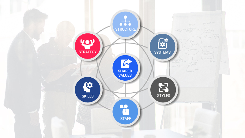 the 7 elements of McKinsey's 7s model