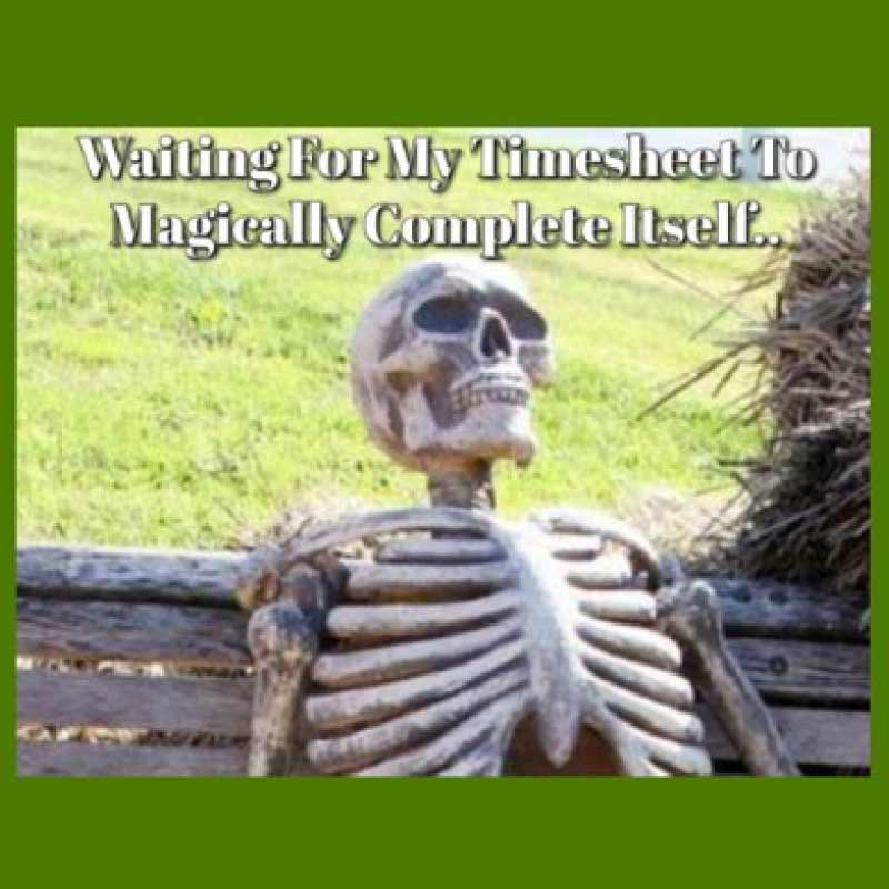 A skeleton waiting on a park bench with a caption reading 'Waiting for my timesheet to magically complete itself.