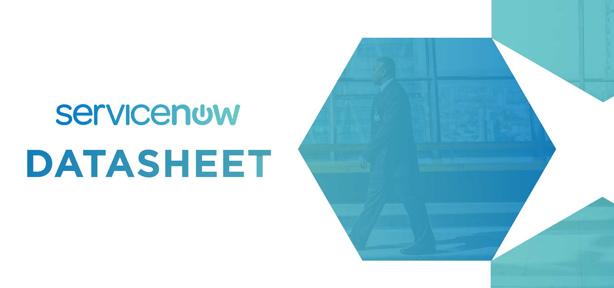 ServiceNow Datasheet Replicon