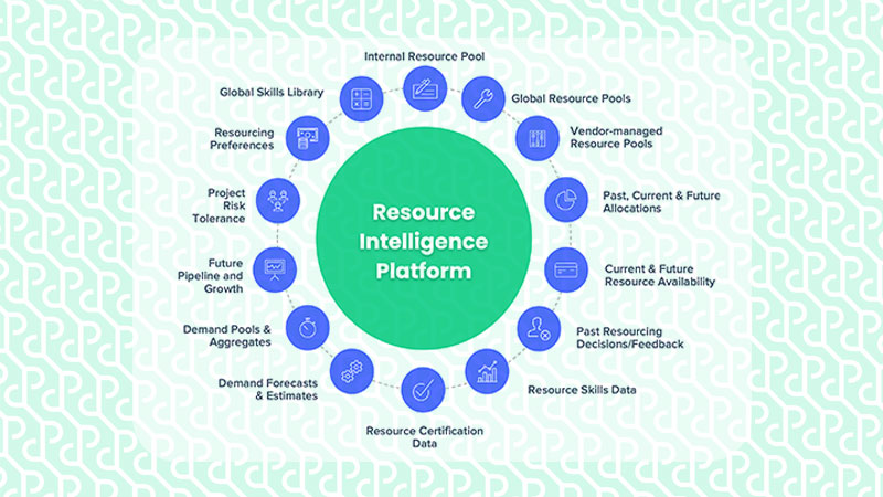 Resource Intelligence Platform data sets